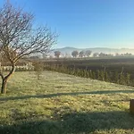 Little Tuscany *
