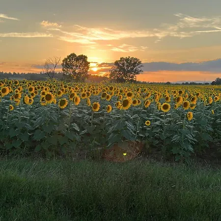Little Tuscany