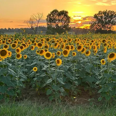 Little Tuscany *