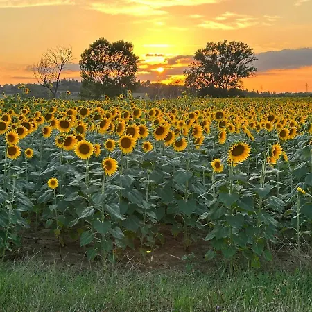 Little Tuscany - Open November 2025 * Cortona