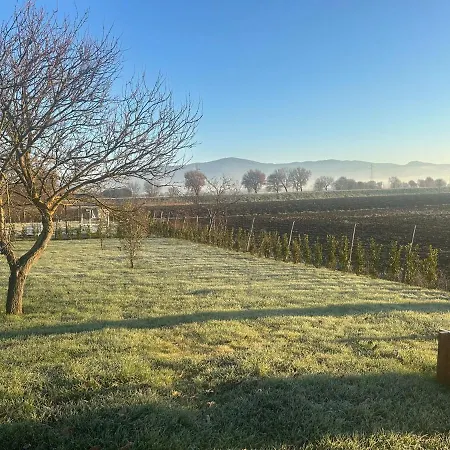 Little Tuscany - Open November 2025 *