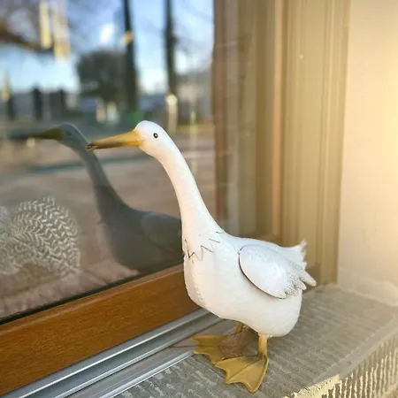 Little Tuscany - Open November 2025 * Cortona