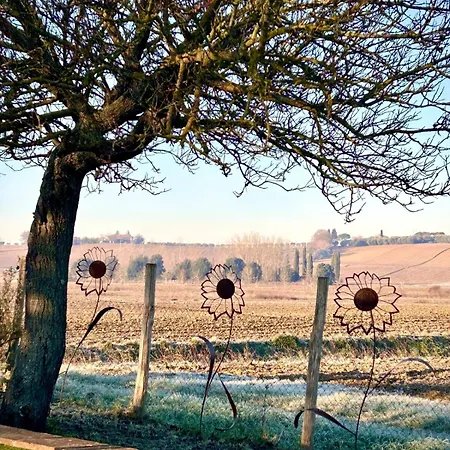 Little Tuscany - Open November 2025 * Cortona