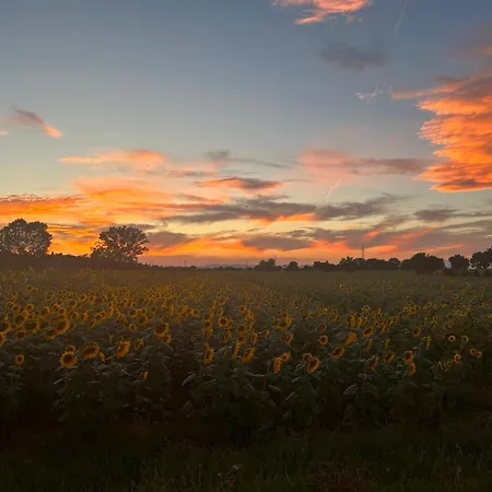 Little Tuscany - Open November 2025 Cortona