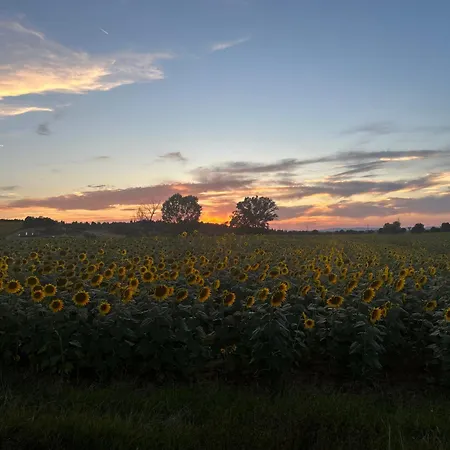 Little Tuscany - Open November 2025 Cortona