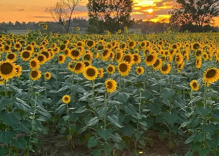 Little Tuscany - Open November 2025 *