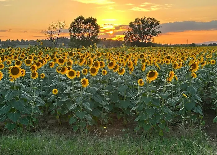 Little Tuscany - Open November 2025 * Cortona