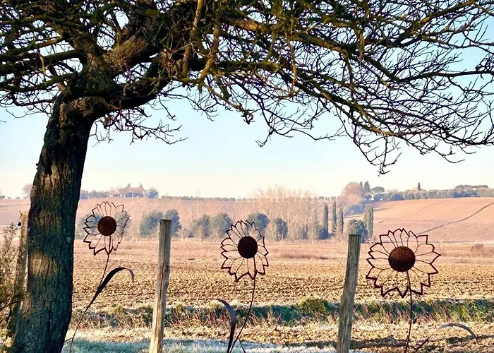 Little Tuscany - Open November 2025 * Cortona