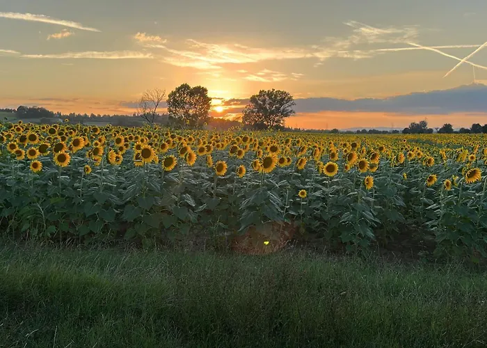 Little Tuscany - Open November 2025