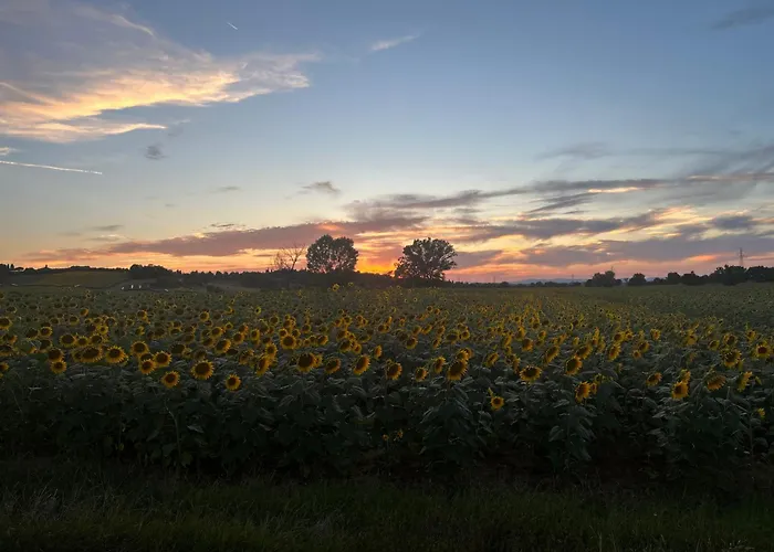 Little Tuscany - Open November 2025 Cortona