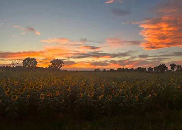 Little Tuscany - Open November 2025 Cortona